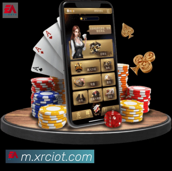 多媒体互动体验